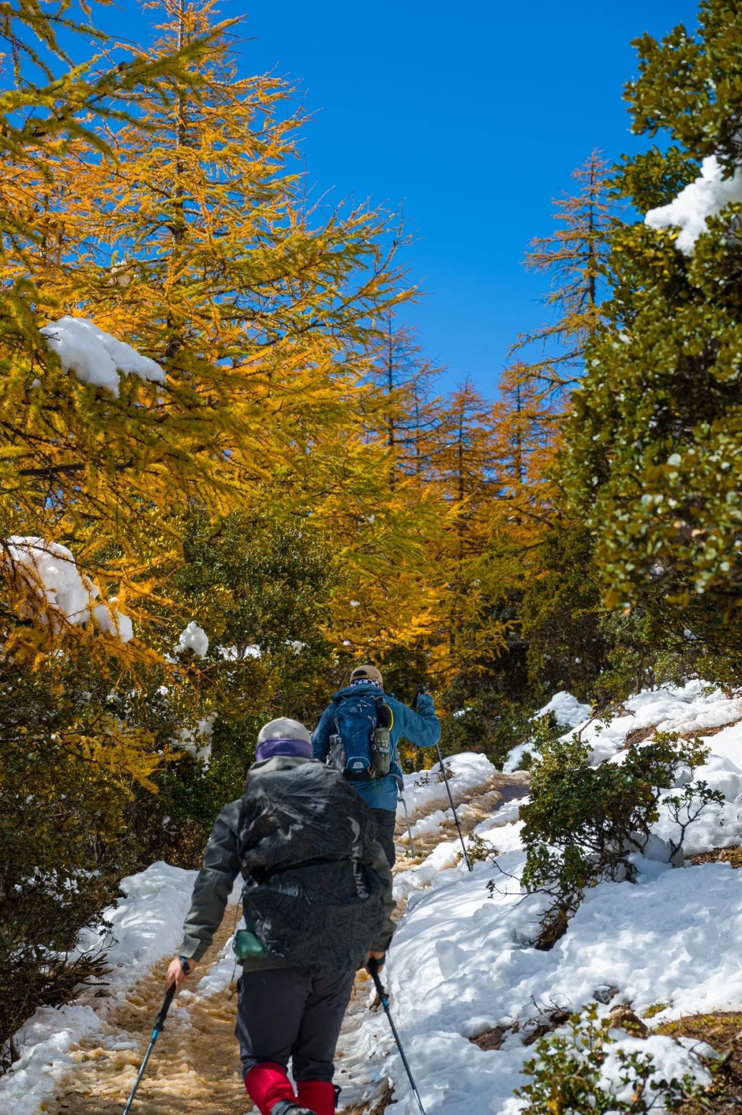 下雪后的阿布吉措直接封神_8_云南徒鹰📷_云南-香格里拉-来自52tours 我爱旅游网